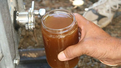 Çam balında iyi başlayan hasat üreticiyi mutlu etti