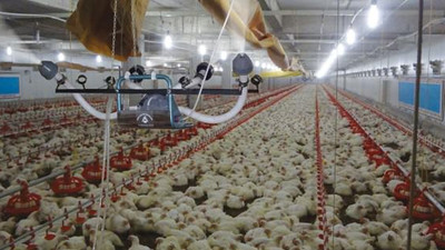 İki ay daha uzatıldı