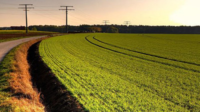 Hazineye ait tarım arazilerine yoğun talep