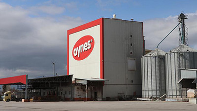 Aynes'e yeniden kayyum atandı!