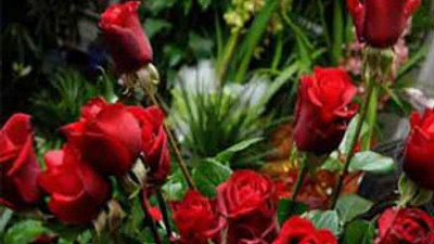 Bir 14 Şubat klasiği