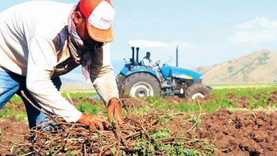 Genetikte banka atılımı