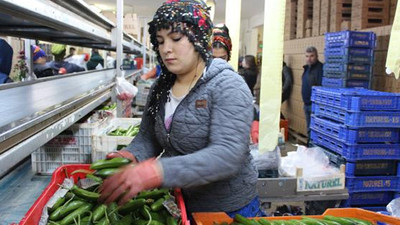 Fırtına sebze fiyatlarını etkileyebilir