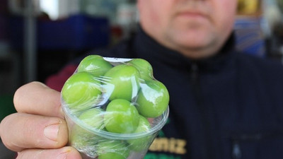 500 liralık erik çağlasının fiyatı dudak uçuklatıyor