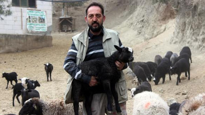 Almak isteyen 4 ay önceden sıraya giriyor! Sahibini zengin ediyor