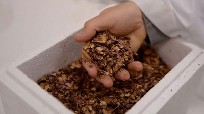 Buda yeşil altın! Dışı da en az içi kadar değerli