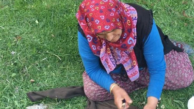 Kuzugöbeği mantarı kilosu 100 TL