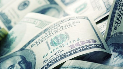 Bu yıl dolar kazandıracak