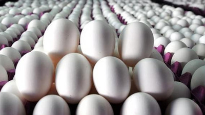 Yumurtanın fiyatı 22 kuruşa kadar düştü