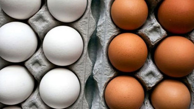 Yumurtadaki tehlikeye dikkat!