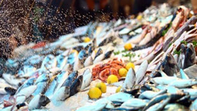 Balık fiyatları tavan yaptı
