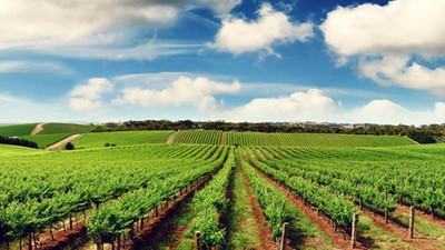 Çiftçilere özel hava durumu