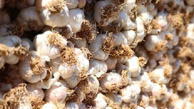 Eylül ayı zam şampiyonu sarımsak oldu