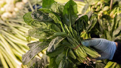 Halcilerden ıspanak uyarısı