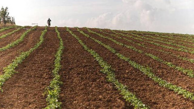 Türkiye'nin e-tarım stratejisi belirlenecek