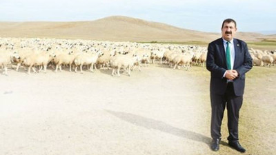 Katar 30 yıl sonra ilk kez Türkiye'den aldı