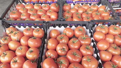 Yaş meyve ve sebze ihracatı 2 milyar 260 milyon dolara ulaştı