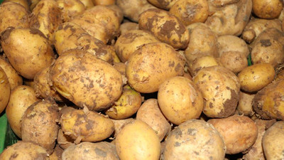 Patates ve soğana yeni düzenleme