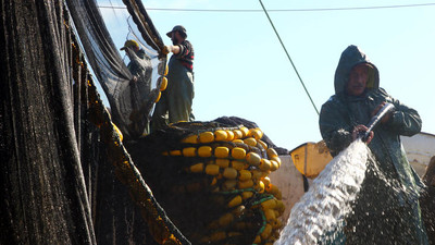 Karadenizli tayfalar Marmara'da balık olmayınca memleketlerine erken döndü