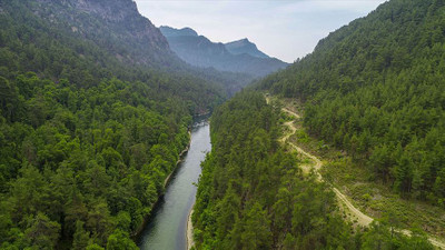 Sığla Ormanları 'kesin korunacak hassas alan' ilan edildi