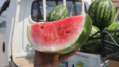 İthal karpuz pahalı olunca vatandaş dilimle aldı