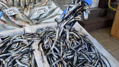 Hamsi ihracatı 6,3 milyon dolar kazandırdı