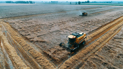 Tarımı Covid-19'da durduramadı