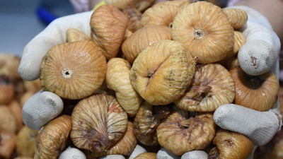 81 ülkeye kuru incir ihracatı