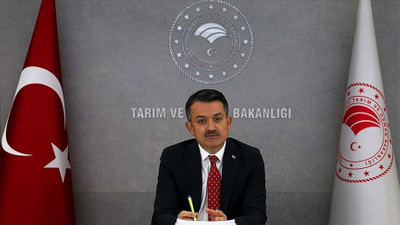 Bakan Pakdemirli üç sektöre yönelik desteklerin detaylarını paylaştı