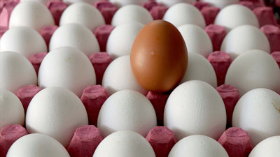 Afyonkarahisar'dan 32,6 milyon dolarlık yumurta ihraç edildi