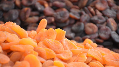 Kuru kayısıdan 22 milyon dolarlık ihracat geliri elde edildi