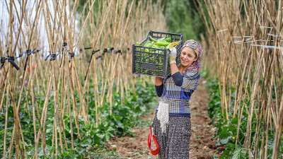 TMO: Tarım ürünlerinde fiyat artışı olursa devreye gireceğiz