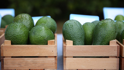 Avokadonun geçen yıl Kovid-19 sürecinde internetten satışı arttı