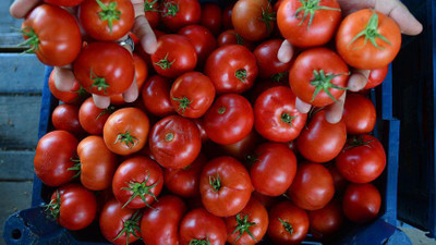 Antalya halleri mart ayı domates, sebze ve meyve endeksi açıklandı