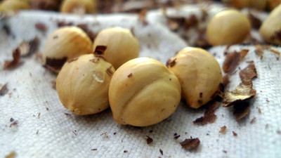 Türk devi İtalya'ya satıldı!