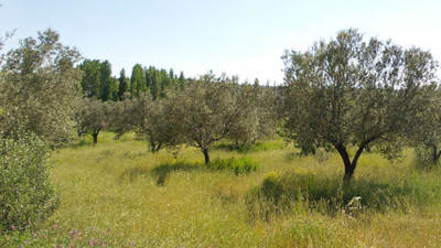 TZOB Başkanı Bayraktar isyan etti!