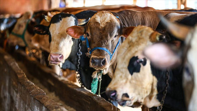 TZOB Başkanı Bayraktar, ortalama kurbanlık fiyatlarını açıkladı