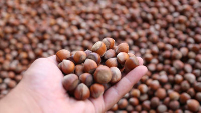 Fındıkta ihracatında rekor hedefleniyor