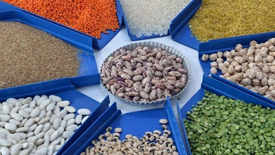 Hububat, bakliyat ve yağlı tohumlarda yıllık ihracat 8 milyar doları aştı