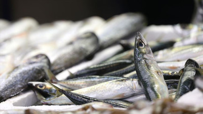 1 Eylül'den itibaren başlıyor