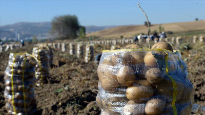 Cumhurbaşkanı Erdoğan'ın çağrısı sonrası hedef 500 milyon TL