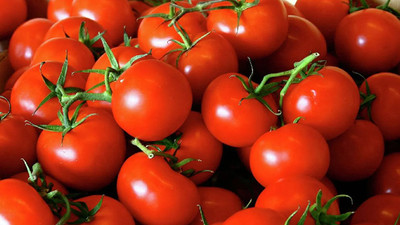 Rusya-Ukrayna savaşı domates ve salatalık fiyatlarını düşürdü