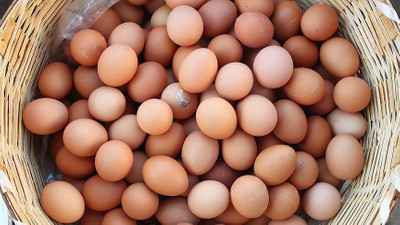Üreticilerden yumurta fiyatı uyarısı