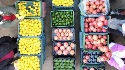 Tarım ihracatı ilk 4 ayda yüzde 24 yükseldi