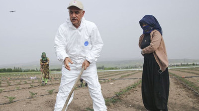 Bakan Kirişci: Buğdayda olumsuzluk yaşamayacağız