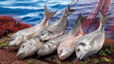 Karadeniz'in su ürünleri ihracatı yılın ilk yarısında 100 milyon dolara yaklaştı