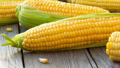 Mısır fiyatları iki ayın zirvesinde