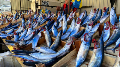 Yağışlı hava balık fiyatlarını artırdı