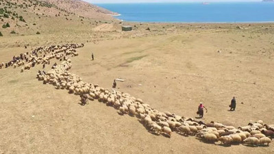 Ayda 40 bin TL kazandırıyor! Eleman bulunamıyor