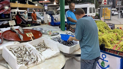 İstavrit ve hamsiler 100 liradan satışta